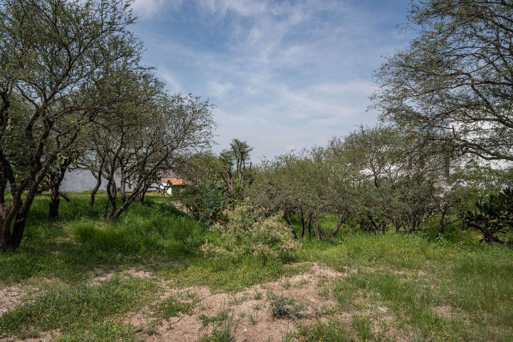49. Single Family Homes for Sale at Casa de los Mezquites CAMINO ANTIGUO A LA LEJONA #20 San Miguel De Allende, Guanajuato 37797 Mexico