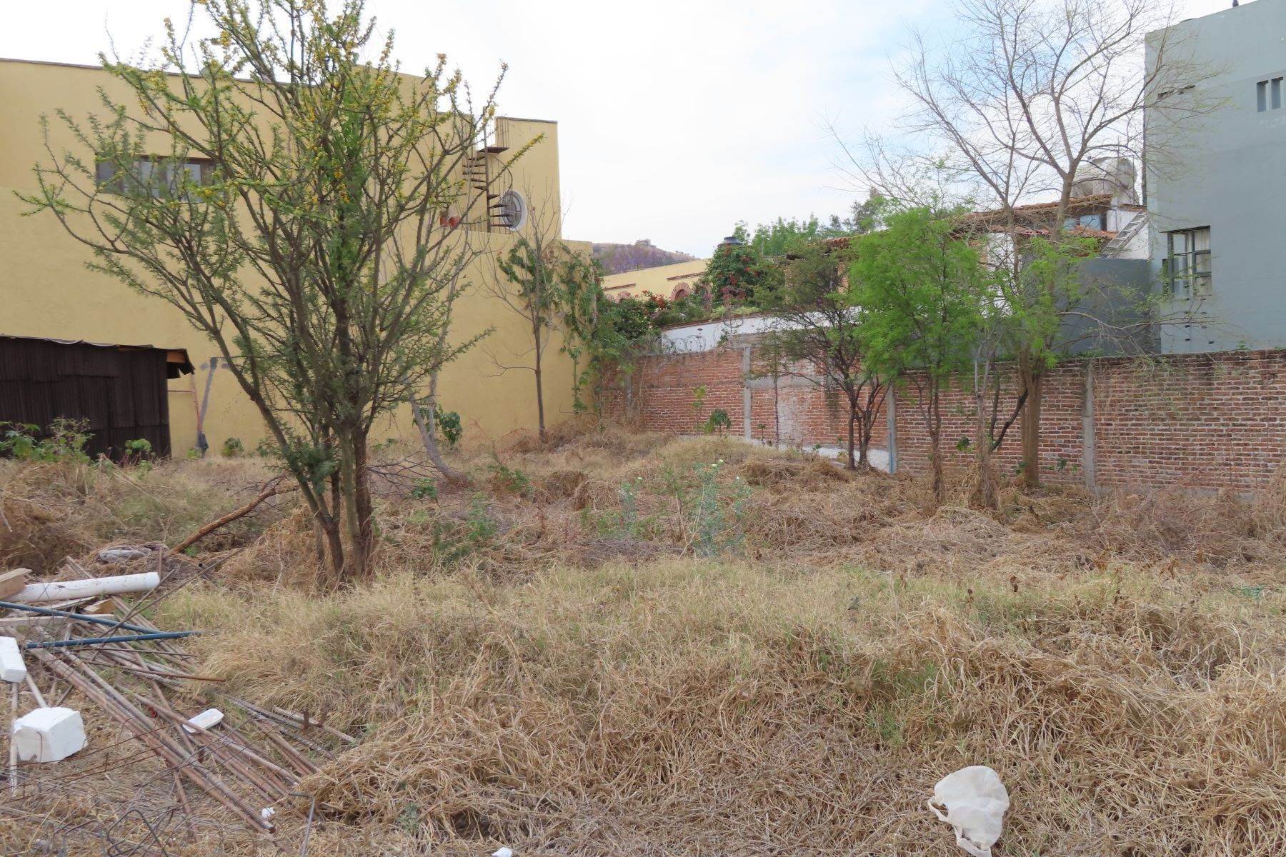 5. Land for Sale at Quiote Lote 6 Cerrada de Grillo - Lot 6 San Miguel De Allende, Guanajuato 37710 Mexico